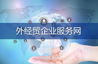 中华人民共和国商务部信息咨询功能与服务体系解析