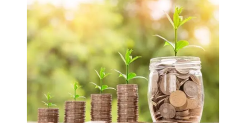 青浦区运营投资管理及咨询 以服务为先，诚拙金融信息助力投资决策